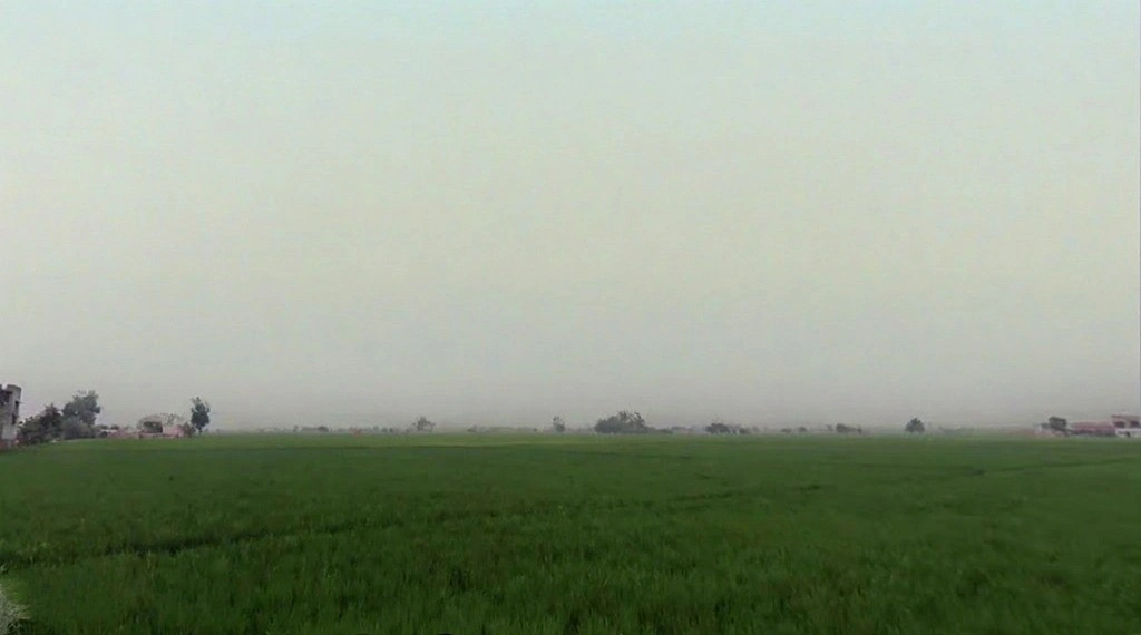 Pharal, Haryana 136021, India