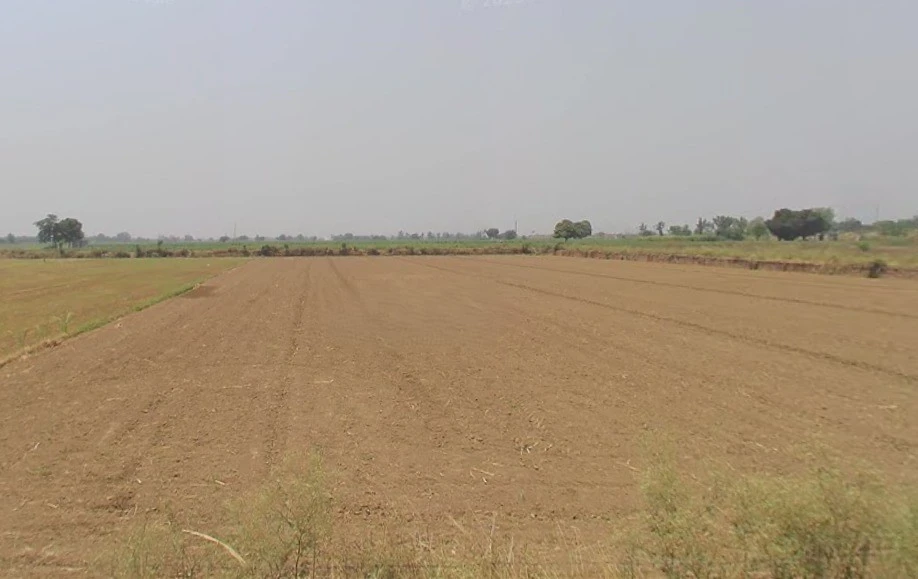 Hapur, Uttar Pradesh 245101, India