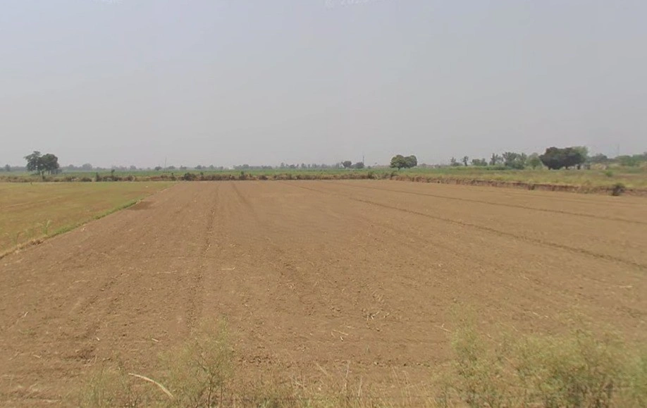 Hapur, Uttar Pradesh 245101, India