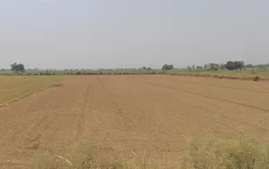 Hapur, Uttar Pradesh 245101, India preview 3