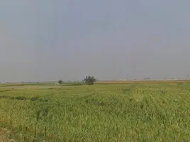 C6CV+PFM, Mukundpur, Madhya Pradesh 485115, India preview 2