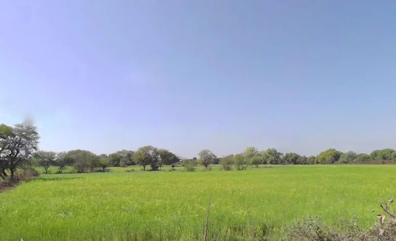 Ujara, Madhya Pradesh 471411, India preview 3