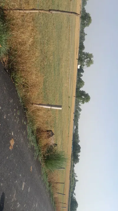 M4VX+RM Mainuddinpur, Uttar Pradesh, India preview 2