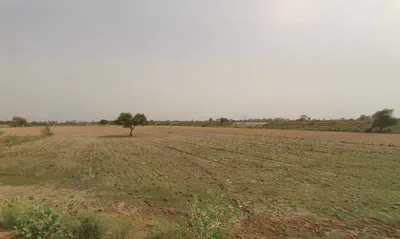 Sultanpur, Gurugram, Haryana, India preview 3