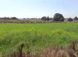 Nawagaon, Chhattisgarh 492101, India preview 3