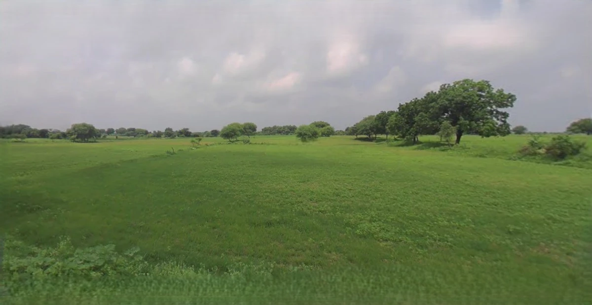 Laksar, Uttarakhand 247663, India