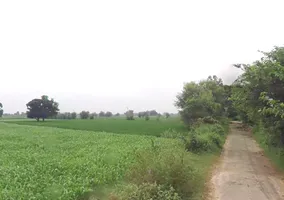 Kankather, Uttar Pradesh 244235, India preview 3