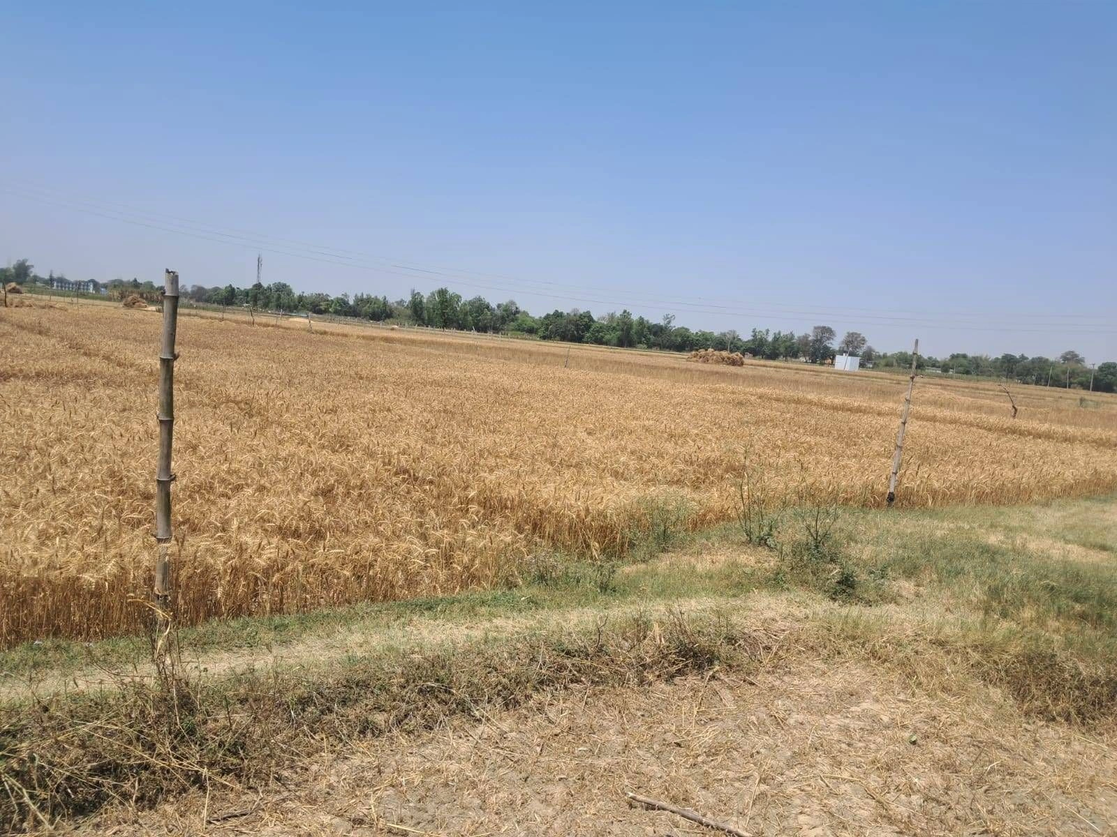 Deo Ka Harwara, Rajasthan 303104, India