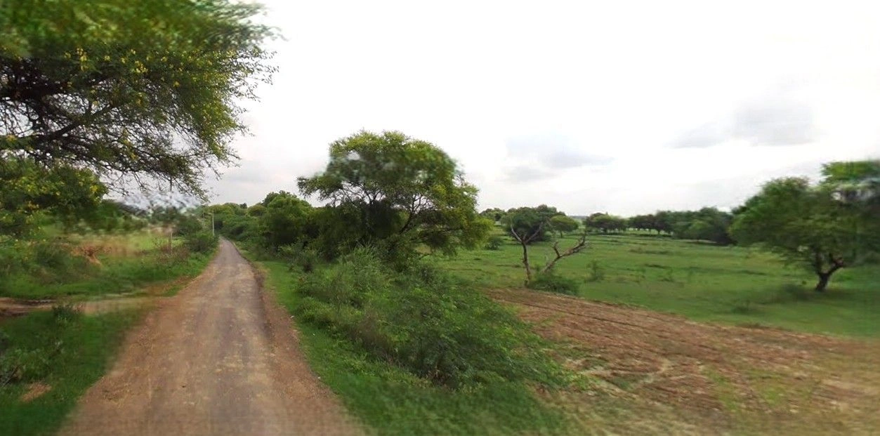 Chandausi, Uttar Pradesh 244412, India