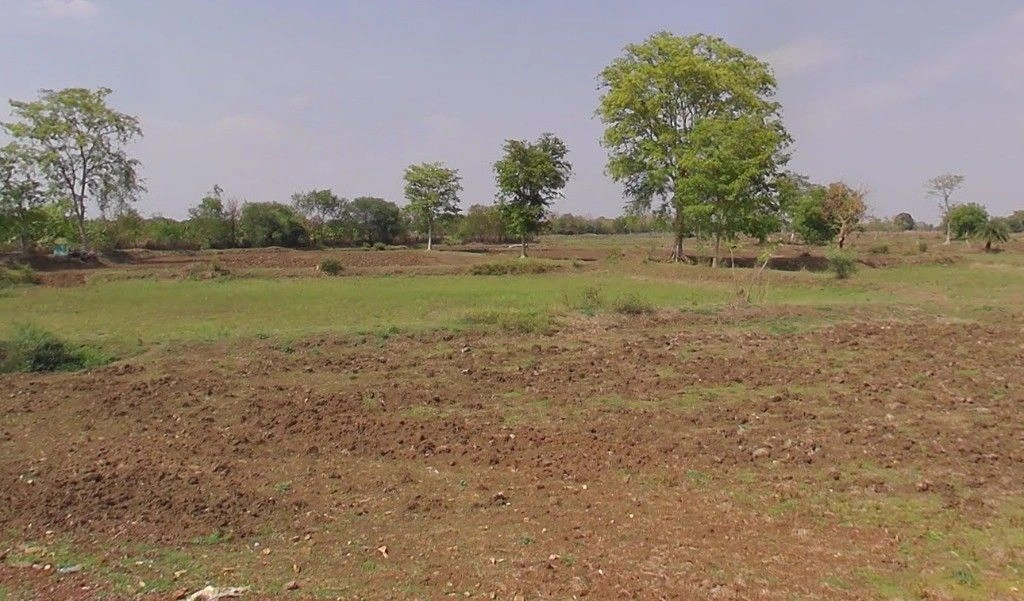 Nardaha, Chhattisgarh 493111, India