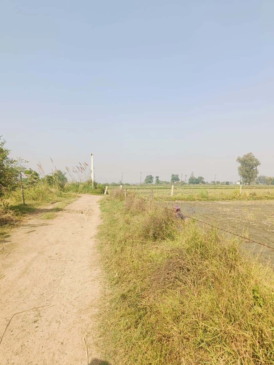 Barhana, Mathura, Uttar Pradesh, India