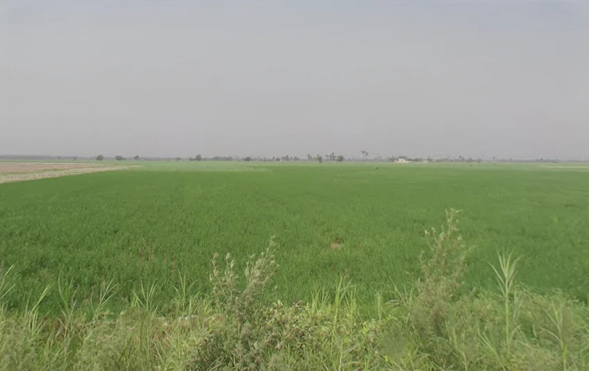 Garh Mukteshwar, Uttar Pradesh 245205, India