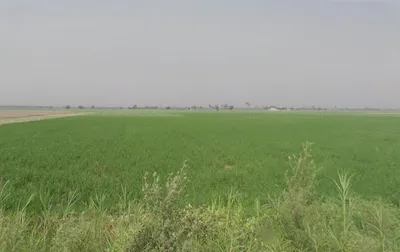 Garh Mukteshwar, Uttar Pradesh 245205, India preview 2