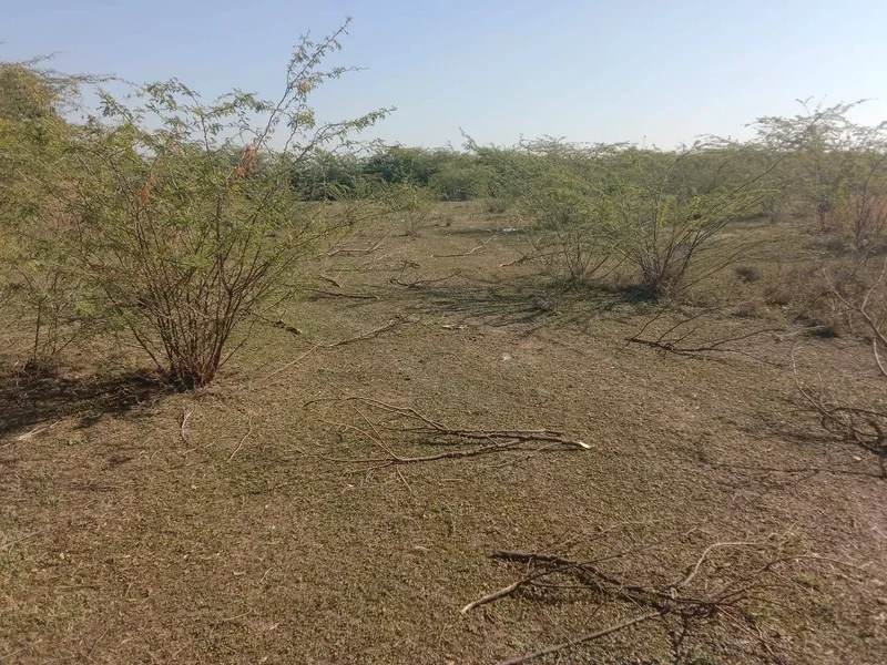 Beesalpur, Rajasthan, India preview 2