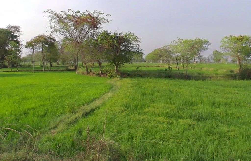 Tikathi, Chhattisgarh 495118, India preview 3