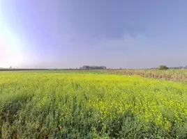 Mawana, Uttar Pradesh, India preview 3