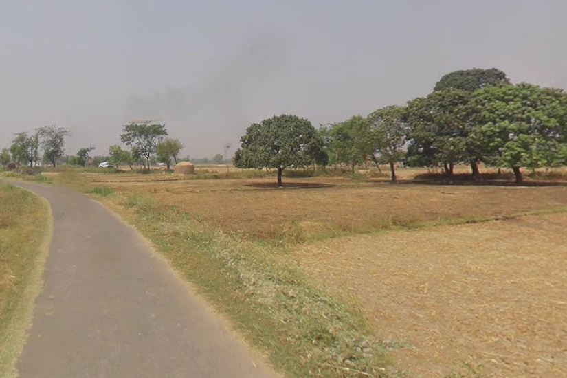 Bhaipur, Uttar Pradesh 203141, India