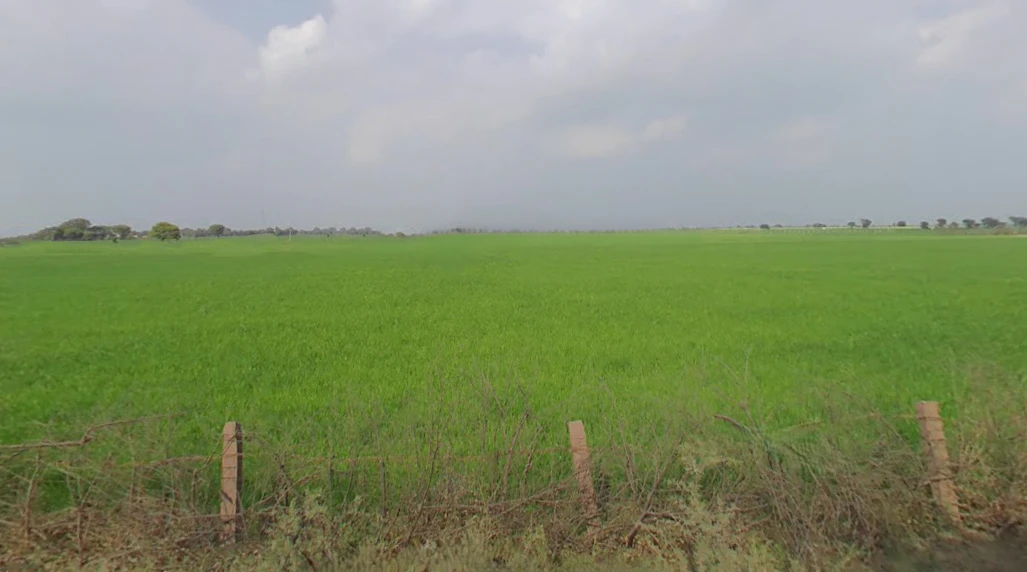 Ganj Basoda, Madhya Pradesh 464221, India