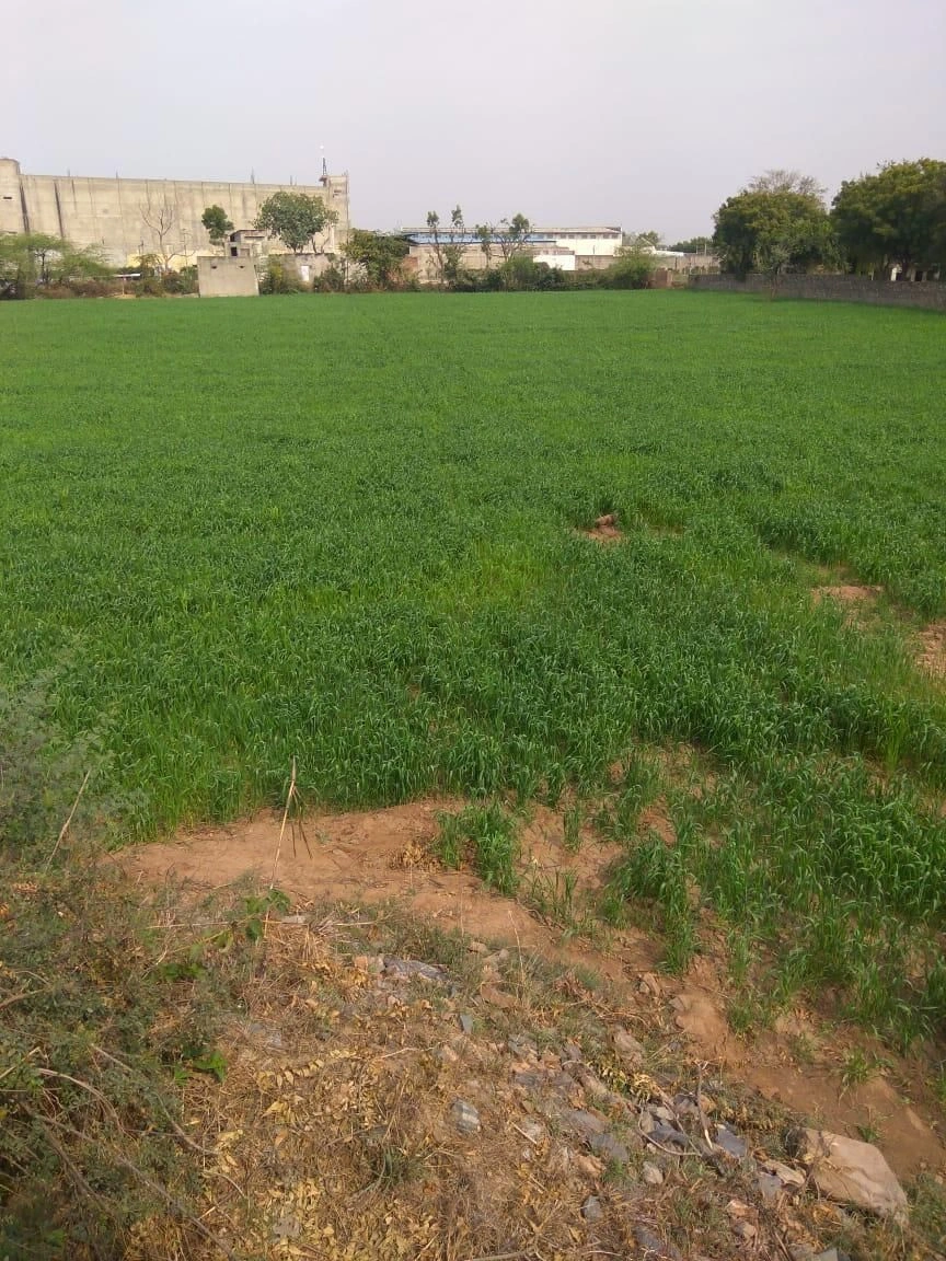 CJX4+9CC, Bhilwara, Mali Khera, Rajasthan, India - Photo 1