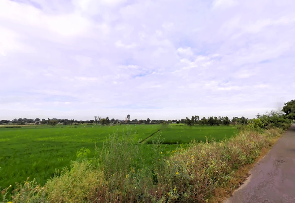 Matanhail, Haryana 124106, India