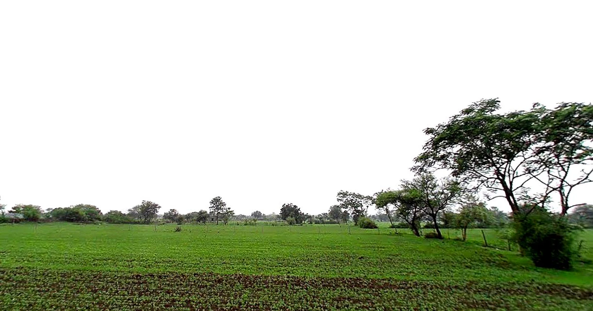 Suthaliya, Madhya Pradesh 465677, India