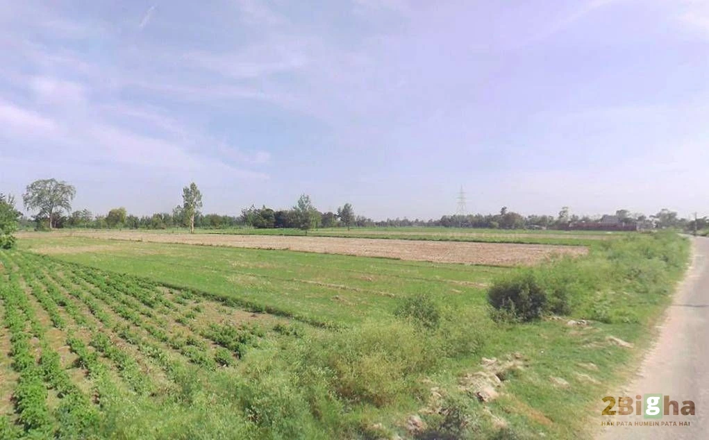 Q2XF+9CC, Shahabad Gate Rd, Mohsin -E- Azam Colony, Civil Lines, Rampur, Uttar Pradesh 244901, India