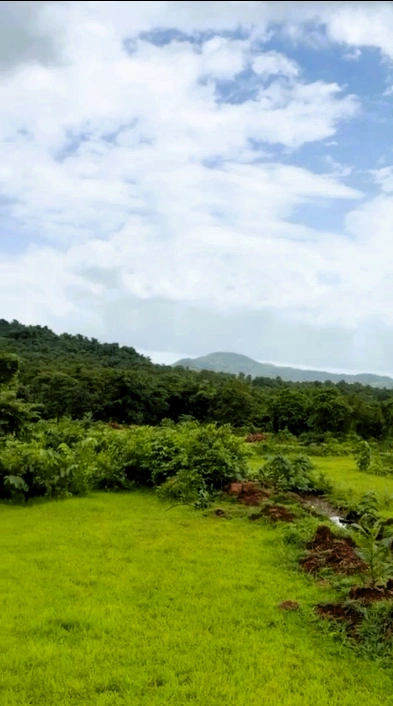 Vaibhavwadi, Sindhudurg, Maharashtra 416810, India