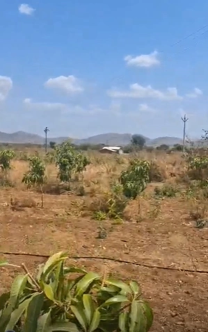 26J5+QP Ghodade, Dhule District, Maharashtra, India - Photo 3