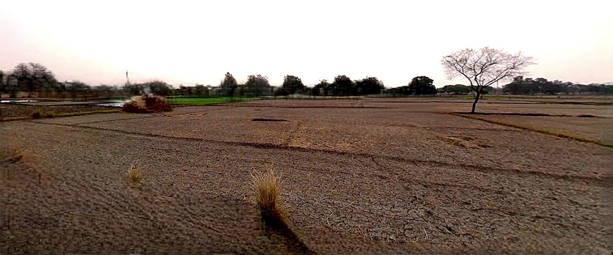 Chhata, Uttar Pradesh 281401, India