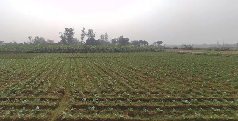 Lucknow - Sultanpur Rd, Bakkas, Uttar Pradesh, India preview 2