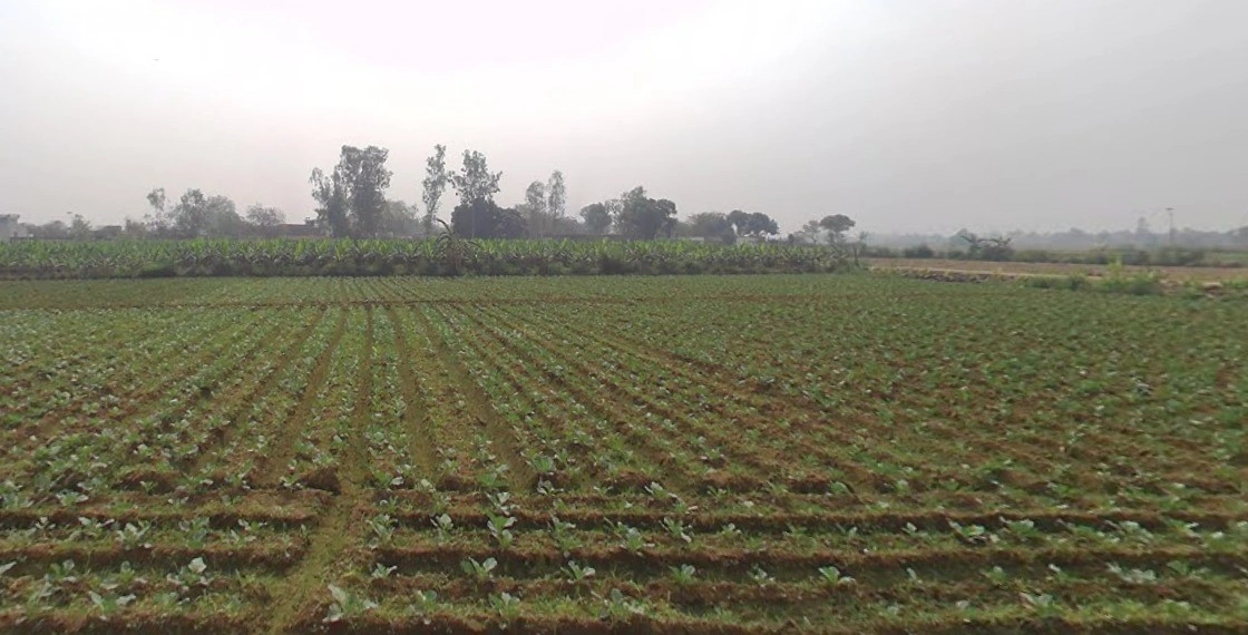 Lucknow - Sultanpur Rd, Bakkas, Uttar Pradesh, India