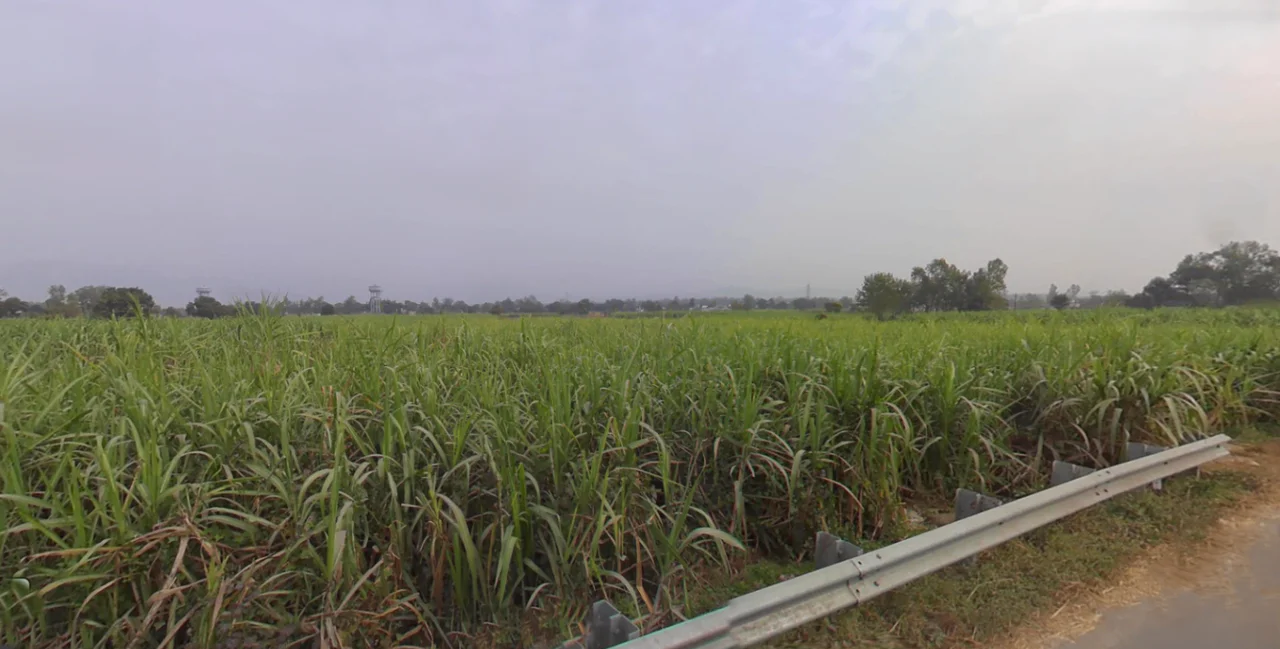 Vikasnagar, Uttarakhand, India preview 3