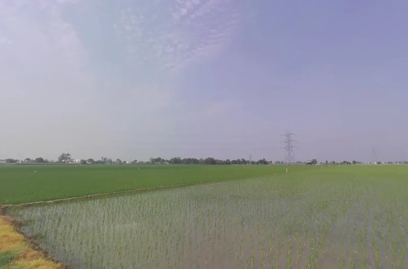 Kailpur, Punjab, India preview 2