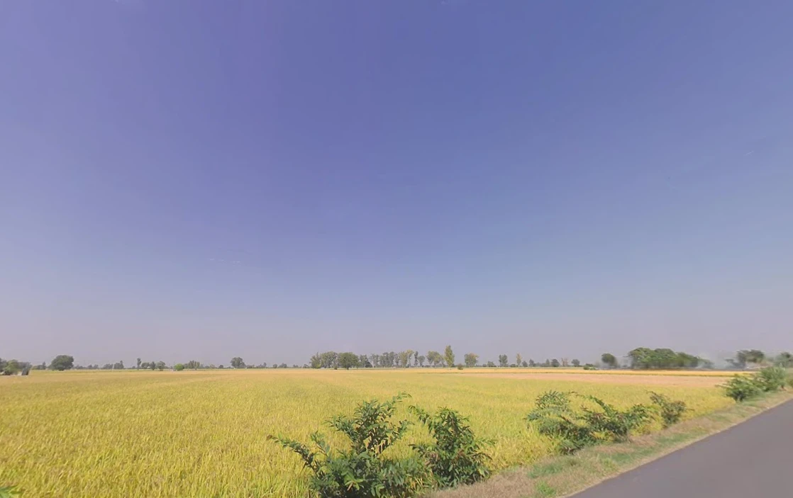 Barjora, West Bengal 722202, India