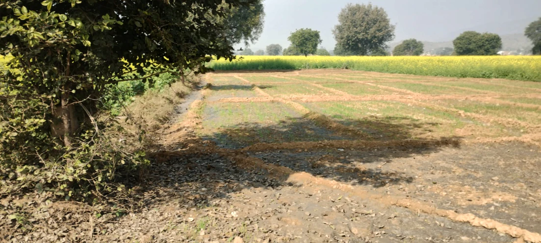 5F5Q+39 Doongri Khurd, Jaipur, Rajasthan, India