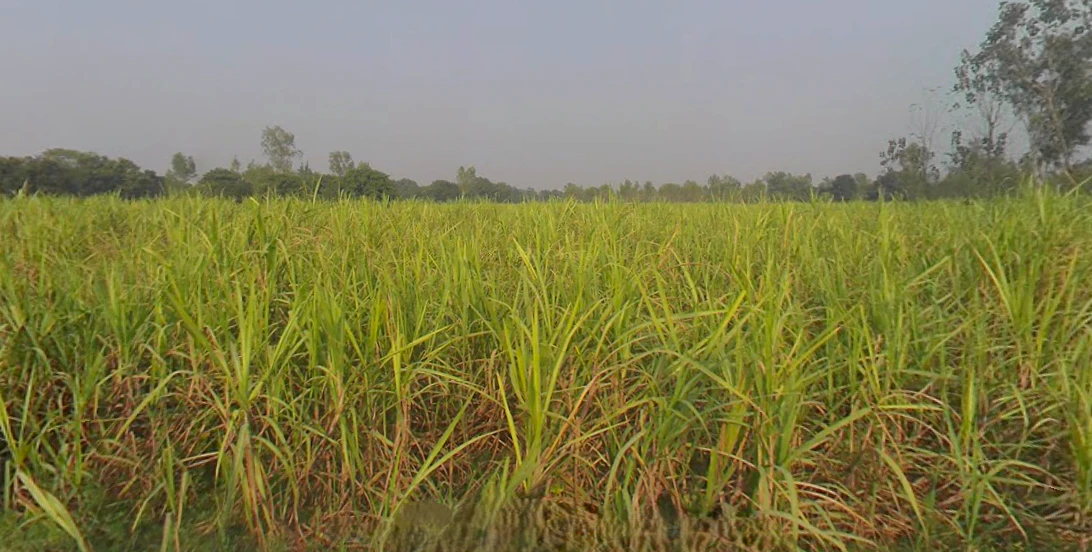Tajpur, Uttar Pradesh 246735, India