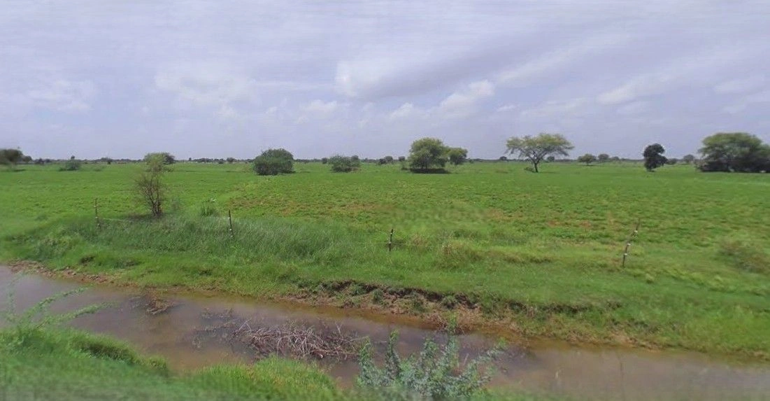 Barnagar, Madhya Pradesh 456771, India