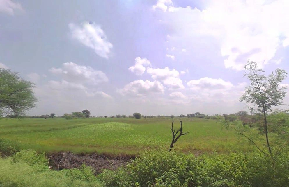 J26G+XQ Khokharwas, Rajasthan, India