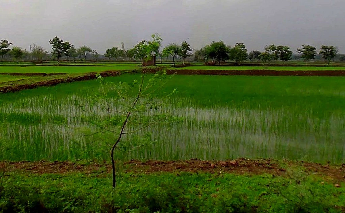 Kharhari, Chhattisgarh, India