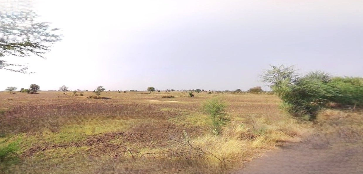 Bisauli, Uttar Pradesh 243720, India