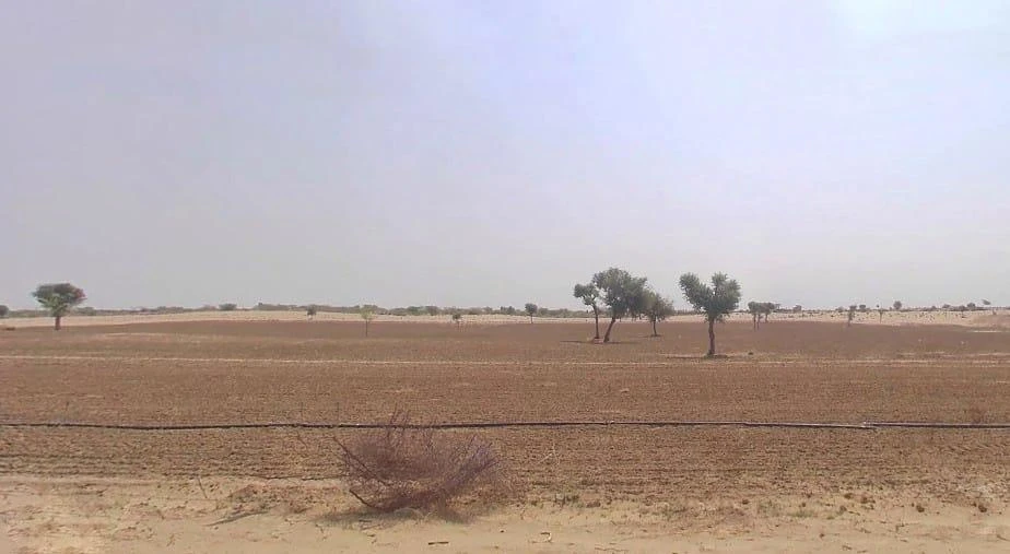 Kolayat, Rajasthan 334302, India