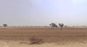 Kolayat, Rajasthan 334302, India preview 3