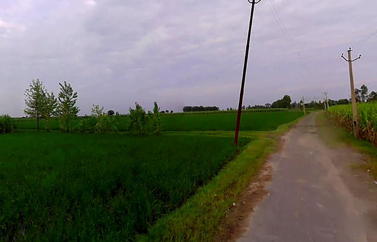 Ahamadwala, Uttar Pradesh, India