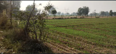 Ahir Khedi, Indore, Madhya Pradesh, India preview 2