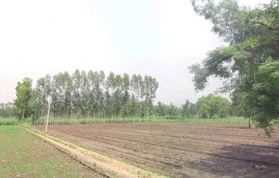 Lodiya, Madhya Pradesh 465001, India