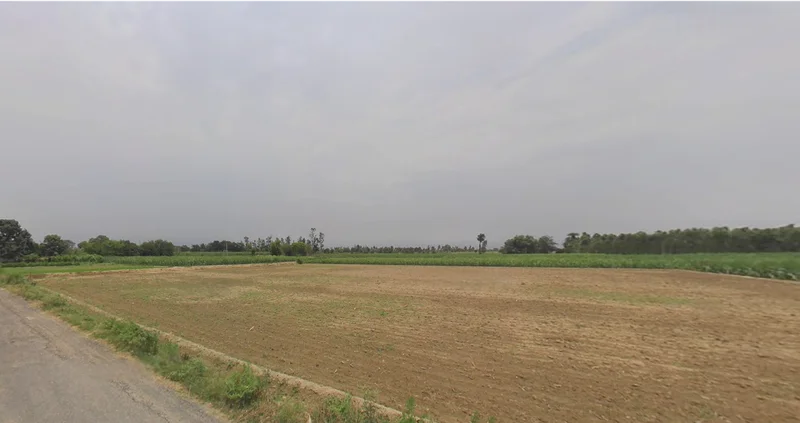 Jemua, West Bengal, India preview 3