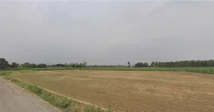 Jemua, West Bengal, India preview 3