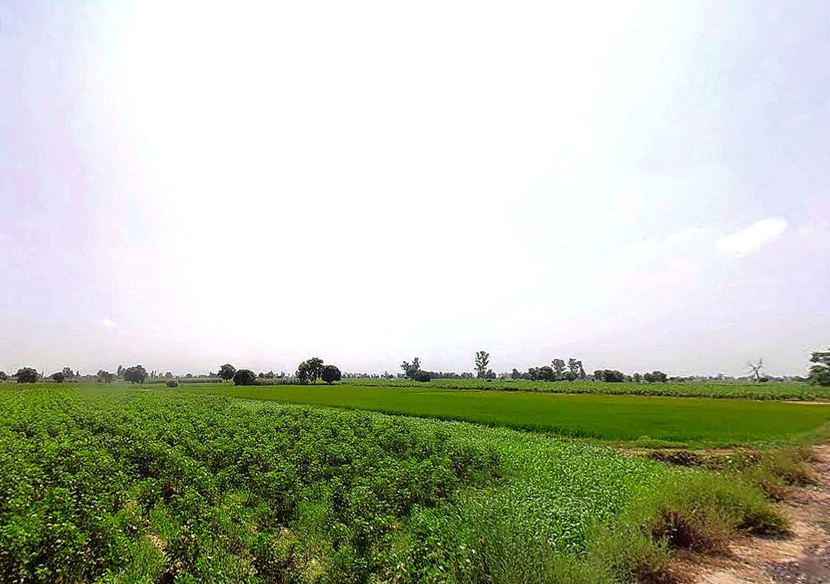 Konark Rd, Konark, Odisha 752111, India