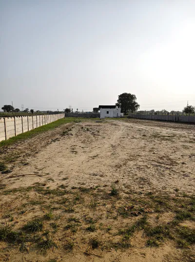 7346+MM Ranau Raham Alipur, Bulandshahr, Uttar Pradesh, India preview 2
