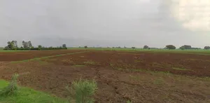 Haridwar, Uttarakhand, India preview 2